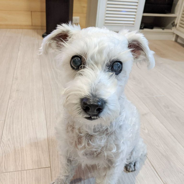 Read more about the article 我想要：拍照時的透視感與壓縮感是啥？