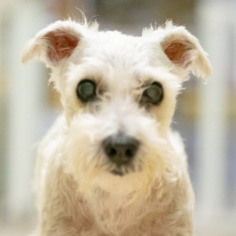 Read more about the article 對焦對不對