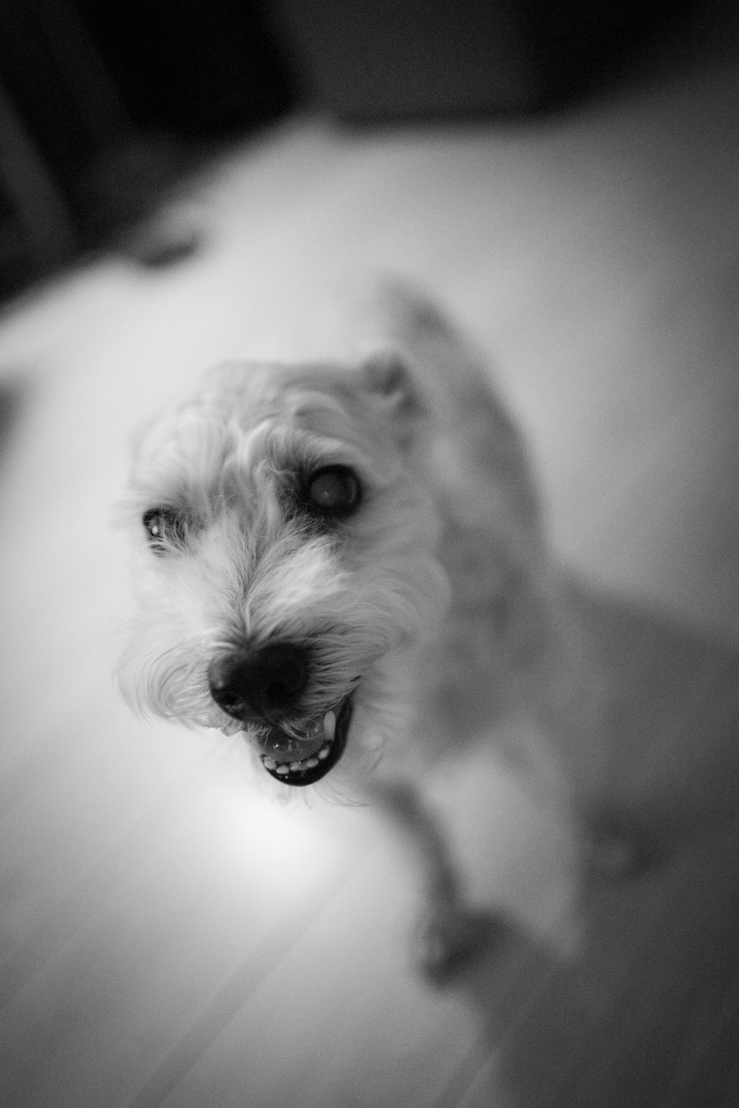 Read more about the article 我想要:拍RAW檔又要硬碟空間