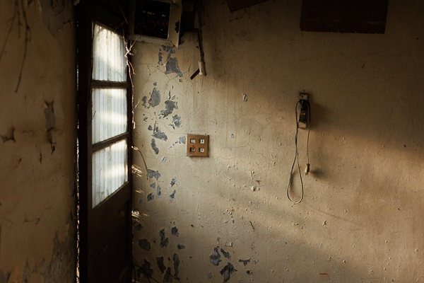 Read more about the article ACR相機描述檔終於支援Canon EOS R6