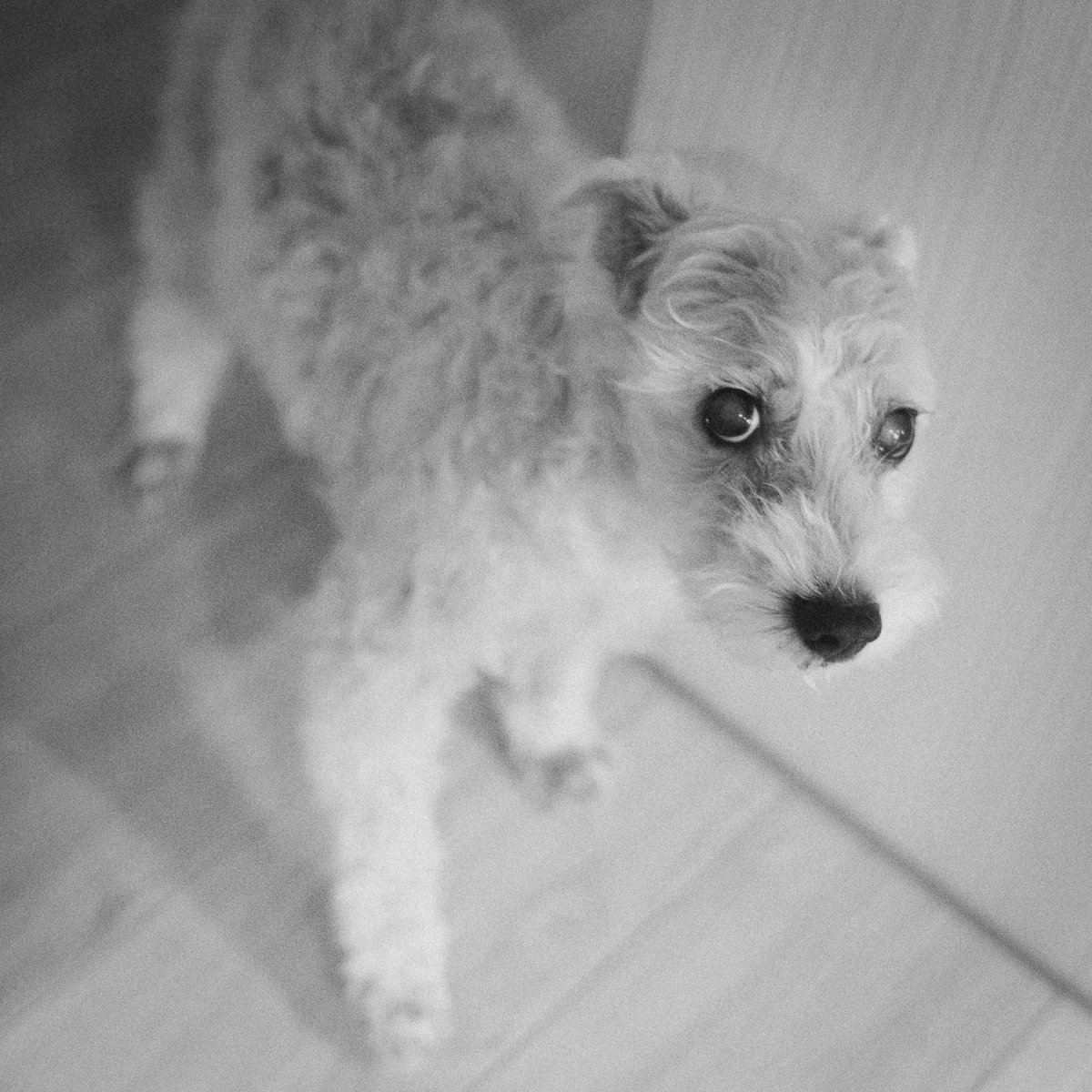 Read more about the article 相機韌體降轉，我的R6回神了!